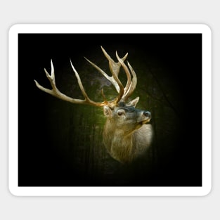 Red deer portrait Sticker